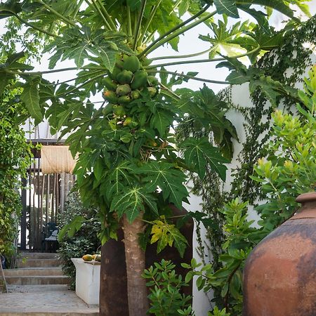 Altanure Almatere - Food Forest Boutique Stay Tavira Exterior foto